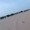 abbou0999