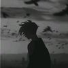 user4101320278106