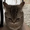 Defeccted