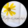 sabreen.ali907