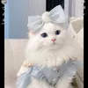 zozowatheg