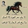 redwan.bou3richa