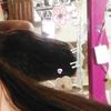 esme.sulu10