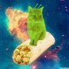 meowsers010