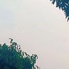 kepo_71013
