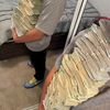 el_habibi9