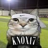knox1790
