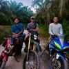 sang_petualang.2311