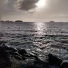 jamesbouschor4