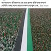 mahmud.mir71