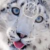 cat.queen294