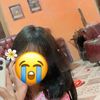 abellea10