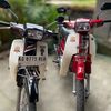 hondaastreaindonesia
