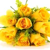 nguyn.xuan.thuy4