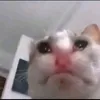 vesihana96