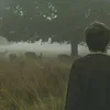 ma_gyd