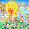 nam.m.a.di.pht324