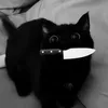 normalday_505