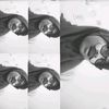 fiaa_723