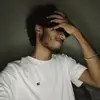 dilu_teddy