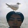 nay29922