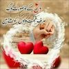 saloka2948479508268