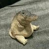 miniatxcod