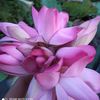 sk_mahin_17