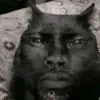 anticonthaonek