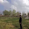 hama.surchi340