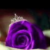 marwa.bouzidi8