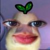 user4673223771930