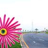 mukhtar40551033