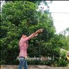 shakib6560