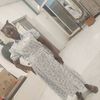 juju.william1