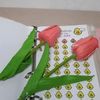 nabungreceh2199