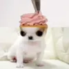 0ow_0822