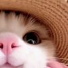 walawwweee2