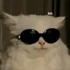 k_nogc7_1