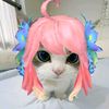 mikototsuki1