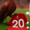 jealock.manyiel