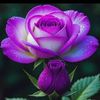 user5461361944217