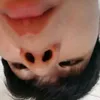 cien_cien_cien_cien