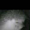 user445161684
