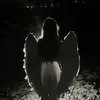 fxallenxngel