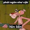 dihocdichoicaiginua