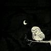 evensons_