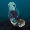 seal_the_deals