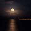 eyad.ahmed7685