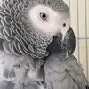 kirsty3372x